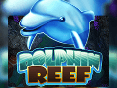 Dolphin Reef game icon